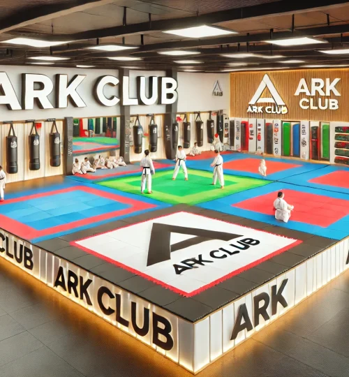 DALL·E 2024-12-28 02.13.08 - A detailed 3D visualization of a martial arts training zone at ARK CLUB. The area includes mats for karate, taekwondo, and judo, along with padded wal